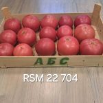 RSM 22704 F1_5